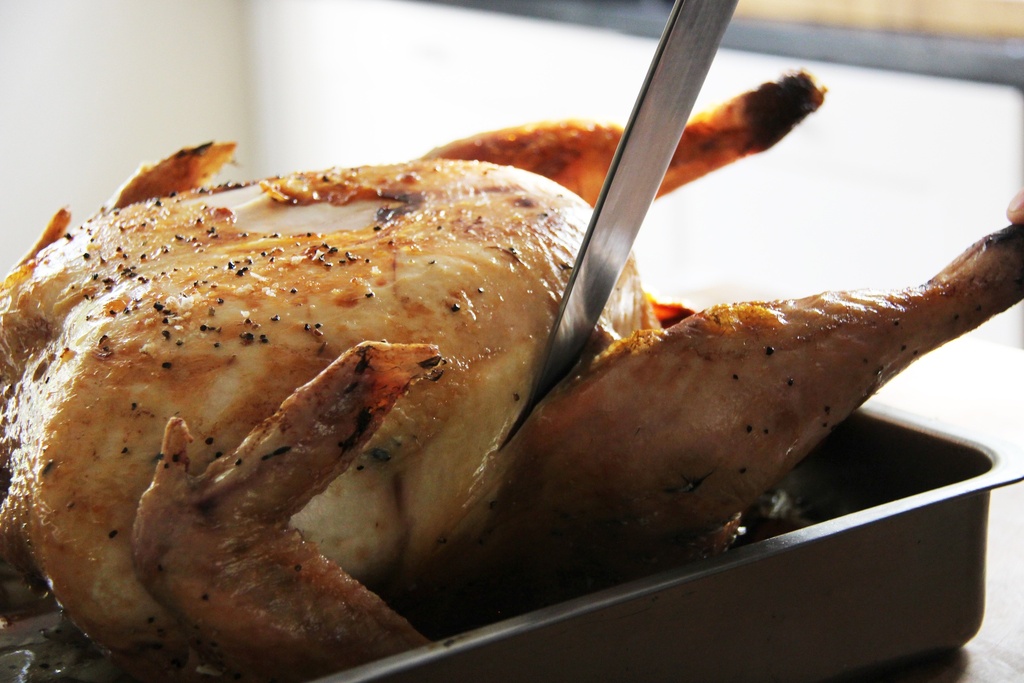 De KellyBronze kalkoen | Kerst of Thanksgiving