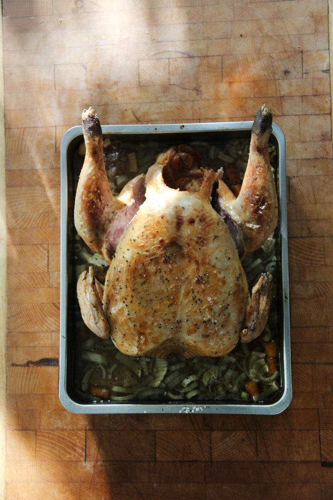 De KellyBronze kalkoen | Kerst of Thanksgiving