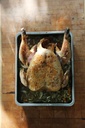 De KellyBronze kalkoen | Kerst of Thanksgiving