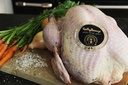 De KellyBronze kalkoen | Kerst of Thanksgiving